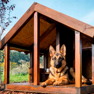Fabricación de casas para todo tipo de mascotas