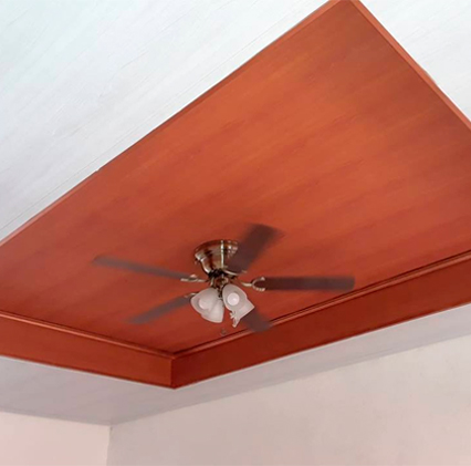 cielo pvc en nicaragua