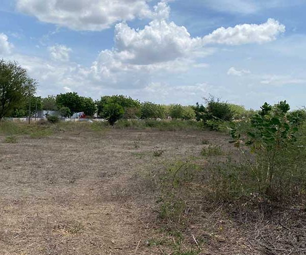 Propiedad-en-Sabana-Grande